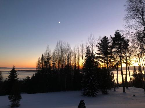 a group of trees in the snow at sunset at Chalet Sous Les Pins in Les Éboulements
