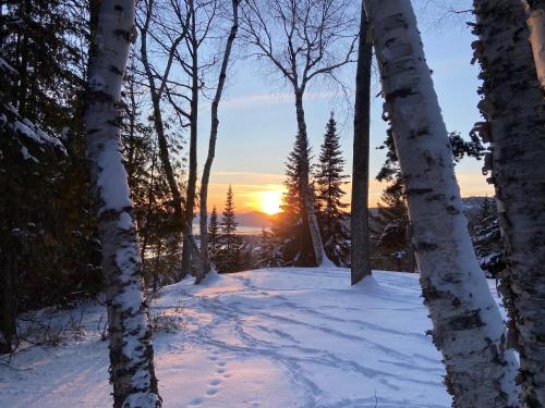 a path through a snow covered forest with trees at Chalet Sous Les Pins in Les Éboulements