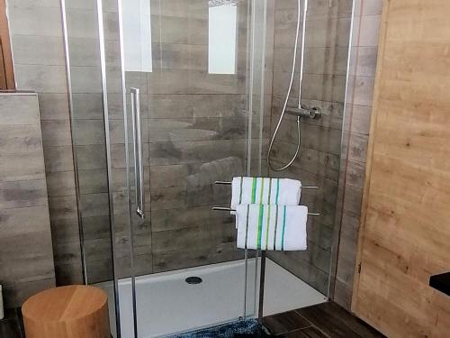 a shower with a glass door with towels on it at Haus Jessica incl National Park Sommercard in Mittersill