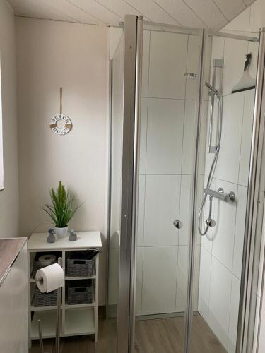 a bathroom with a shower with a toilet paper roll at Strandläufer in Schönhagen