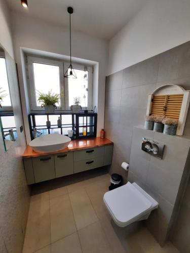 a bathroom with a toilet and a sink and a mirror at PIF Apartments Sadoveanu in Braşov