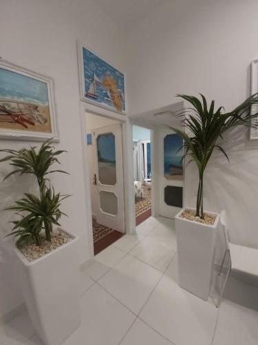 a room with two potted plants on the walls at B&B Vista Mare in Crotone