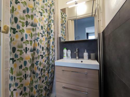 une salle de bain avec un lavabo et un rideau de douche dans l'établissement Joli petit T2 terrasse proche du phare, à Calais