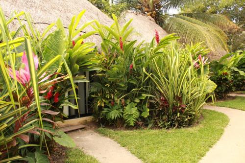 a garden with many plants and a path at Hotel CasaBakal - A pie de Laguna - Bacalar in Bacalar