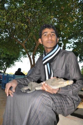 Gallery image of Nubian Farm Aswan in Aswan