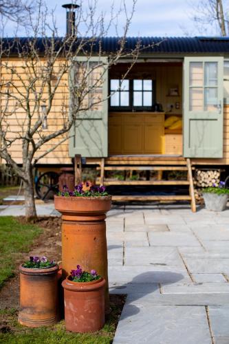 two pots of flowers in front of a house at Little Plovers Shepherd Hut in Chichester