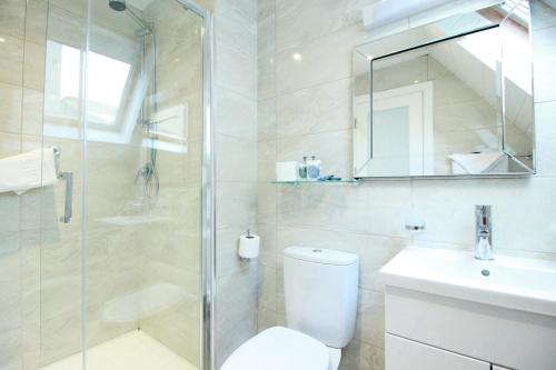 a bathroom with a shower and a toilet and a sink at Harry Clarke Mews at the Castle Hotel in Dublin