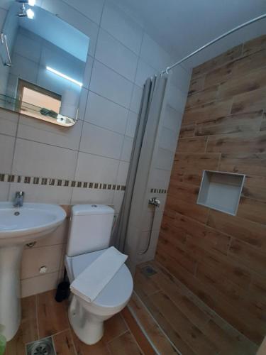 La salle de bains est pourvue de toilettes, d'un lavabo et d'une douche. dans l'établissement Studio Gmitrovic, à Rtanj