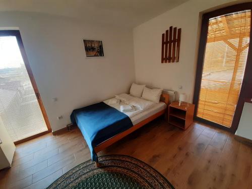 sypialnia z łóżkiem i dwoma dużymi oknami w obiekcie Studio Gmitrovic w mieście Rtanj