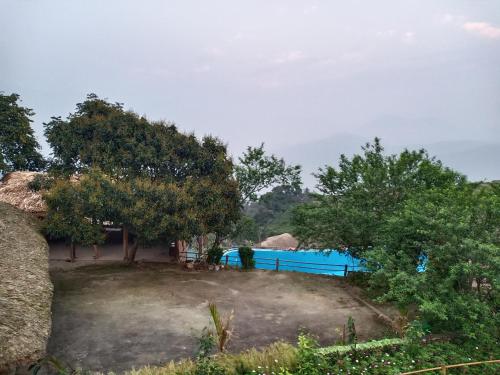 a large yard with trees and a blue fence at Dao Homestay in Hoàng Su Phì