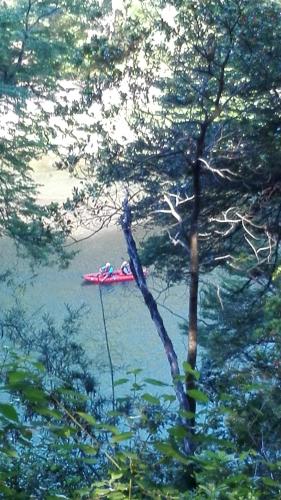 a person in a red kayak in the water at Wonderful rustic cabin, with native trees, with Rio Trancura, equipped in Pucón