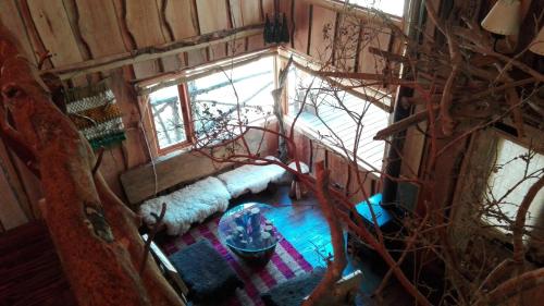 an overhead view of a room with a sheep laying on the floor at Wonderful rustic cabin, with native trees, with Rio Trancura, equipped in Pucón