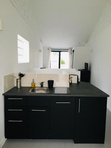 - une cuisine avec des placards noirs et un évier dans l'établissement Les Hirondelles, à La Brée-les-Bains