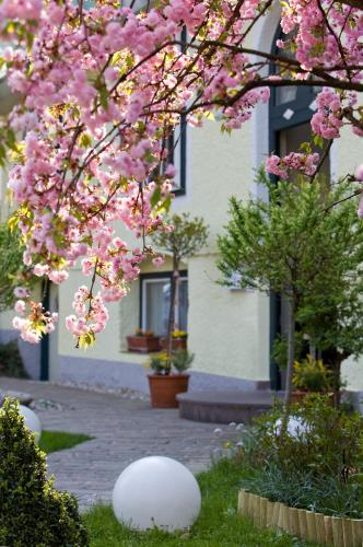 Ein Garten an der Unterkunft Hotel Rosenvilla