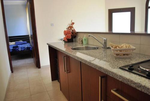 Kuchyň nebo kuchyňský kout v ubytování Marlin Beach Front Luxury Villa - 4 Bedrooms