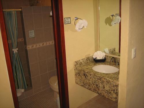y baño con lavabo, aseo y ducha. en Hotel Delfines Acapulco by NG Hoteles en Acapulco