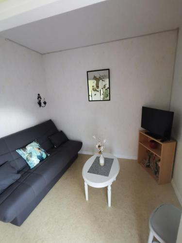 un salon avec un canapé et une télévision dans l'établissement Appartement Vallée de Luchon, à Salles-et-Pratviel