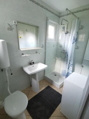 une salle de bain avec toilettes, lavabo et douche dans l'établissement Appartement Vallée de Luchon, à Salles-et-Pratviel