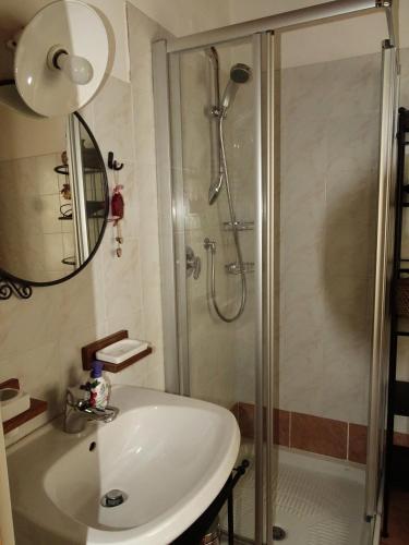a bathroom with a sink and a shower at Baita Casera Caviazza in Falcade