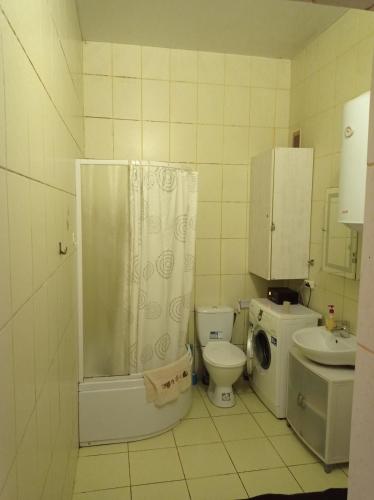a bathroom with a toilet a sink and a washing machine at Park House in Rivne
