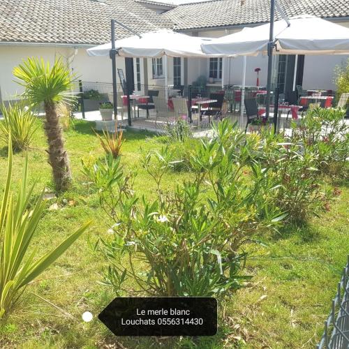 Le Merle Blanc Louchats – Photos 4