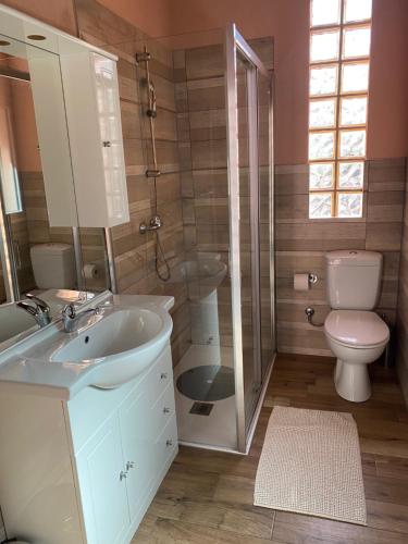 ein Bad mit einem Waschbecken, einem WC und einer Dusche in der Unterkunft Casa Buby in Cadenazzo