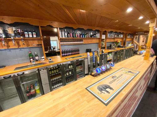 a bar with a bear on the counter at cabin zest in Sandown