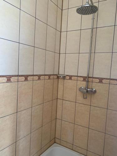 a shower with a shower head in a bathroom at Avtoport Restorant Hotel Complex in Vinnytsya