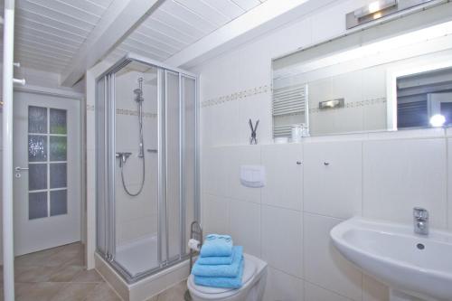 a bathroom with a shower and a toilet and a sink at strandnahe Idylle am Meer, private Badestelle, Strandkorb - Gutshof Ostseeblick in Neuendorf