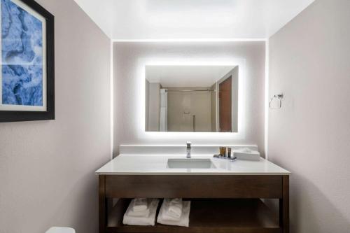 a bathroom with a sink and a mirror at Holiday Inn Express & Suites - Mobile - I-65, an IHG Hotel in Mobile