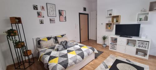 Μια τηλεόραση ή/και κέντρο ψυχαγωγίας στο Apartman Delena