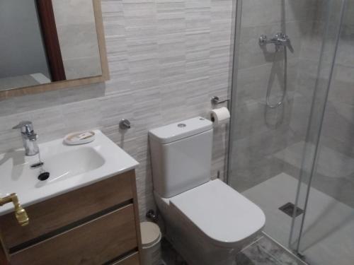 a bathroom with a toilet and a sink and a shower at Apartamento Rural Casa Paco con Jacuzzi exterior y barbacoa in Aínsa