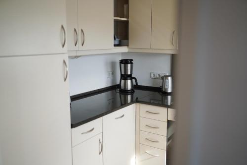 Una cocina o cocineta en Appartementanlage am Arnumer See