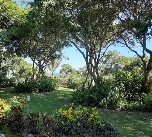 a garden with trees and green grass and plants at Casa Jardim in Vilanculos