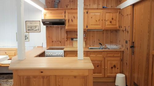 Kuchyň nebo kuchyňský kout v ubytování Ferienhaus Mauth