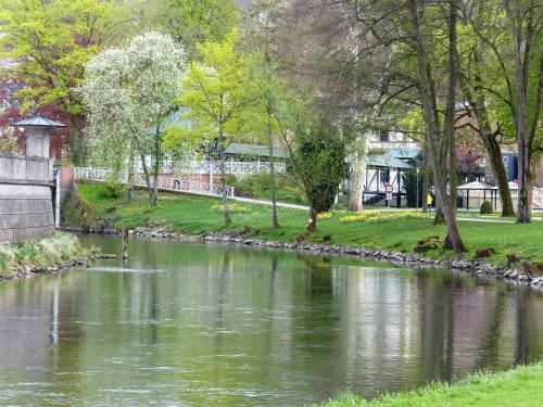 a river in a park with trees and grass at Hotel Bayerischer Hof in Bad Kissingen