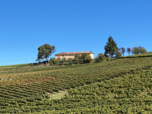 a large vineyard with a house on a hill at Allegro Holiday in Nizza Monferrato