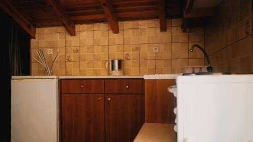 A kitchen or kitchenette at Pension Galini