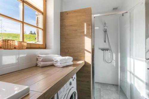 a bathroom with a sink and a washing machine at Willa Pitoniówka z sauną, Netflix oraz Xbox one in Kościelisko