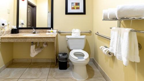 a bathroom with a toilet and a sink and a mirror at Holiday Inn Express & Suites Houston South - Near Pearland by IHG in Houston