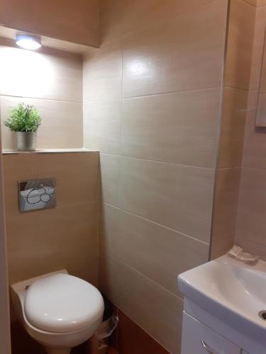 a bathroom with a toilet and a sink at Penzion Vulture Ostrava in Ostrava