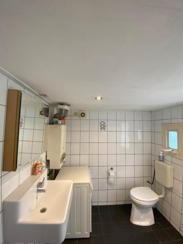 een badkamer met een witte wastafel en een toilet bij Panoramic Philippine Zeeland in Philippine