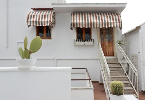 サンタ・マリア・アル・バーニョにあるPalazzo Stapaneの階段とサボテンのある白い家