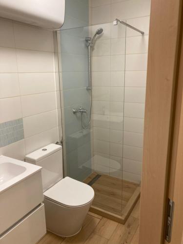 a bathroom with a toilet and a glass shower at Aranypart Apartman in Siófok