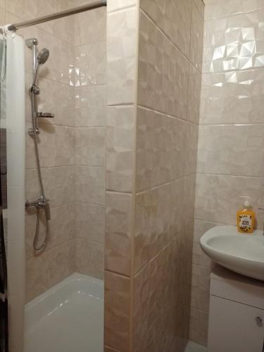 a bathroom with a shower and a sink at Пасторальний дім імені Владики Мілана in Bohdan