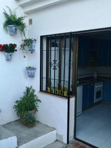 an open door of a house with potted plants at House in a cove Almunecar in Almuñécar