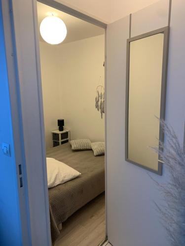 a bedroom with a mirror and a bed in a room at Appartement Rez de jardin Cabourg résidence bord de mer in Cabourg