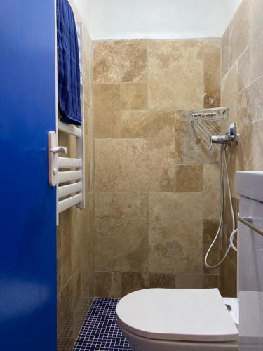 une salle de bain avec toilettes et douche dans l'établissement Les Petites Cyclades, à Biarritz