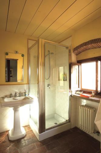 a bathroom with a shower and a sink at La Corte del Falco in Pieve a Nievole