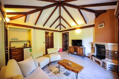 a living room with a couch and a fireplace at Naturkoy Sapanca in Sakarya